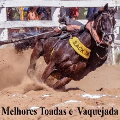 Curso de Assobio + Toada